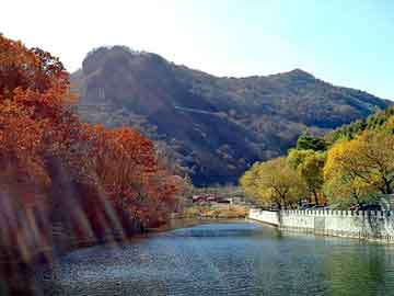 新澳天天开奖资料大全旅游团，溶脂针瘦脸